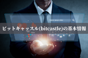 ビットキャッスル(bitcastle)の基本情報