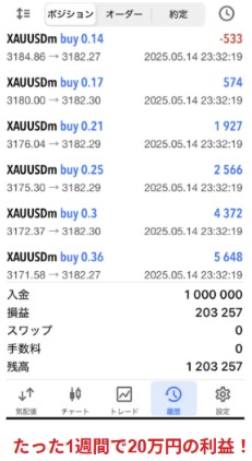Tさん実績